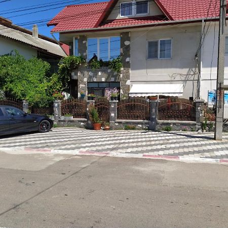 Vila Traian Si Teodora 科斯蒂内什蒂 外观 照片