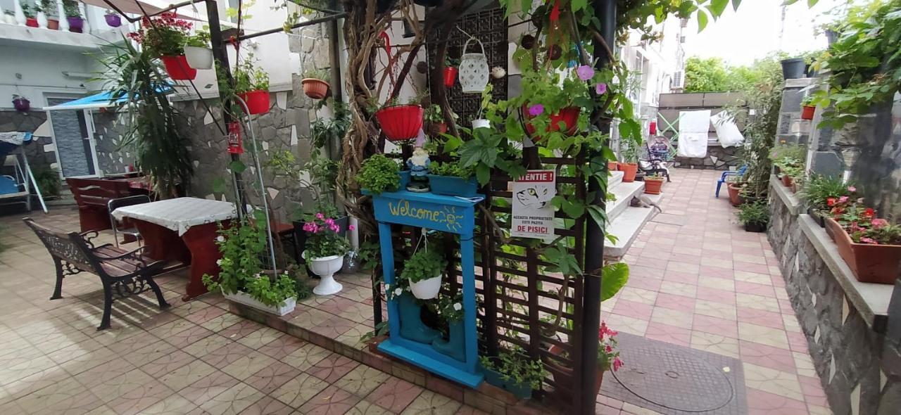 Vila Traian Si Teodora 科斯蒂内什蒂 外观 照片