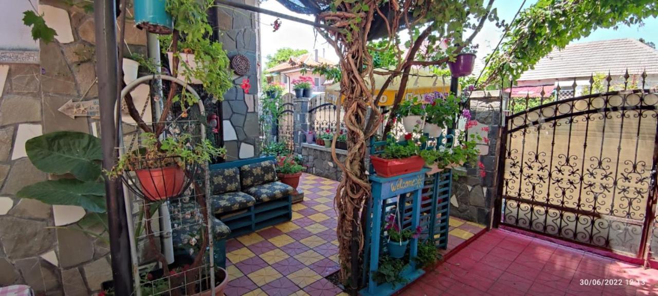 Vila Traian Si Teodora 科斯蒂内什蒂 外观 照片